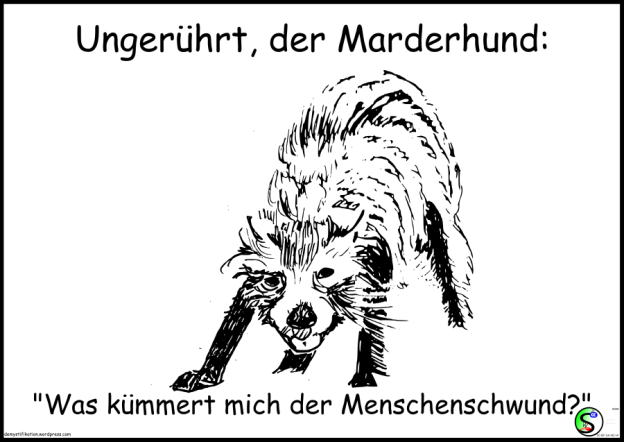 marderhund